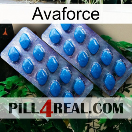 Avaforce viagra2